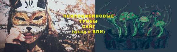 гидра Тутаев