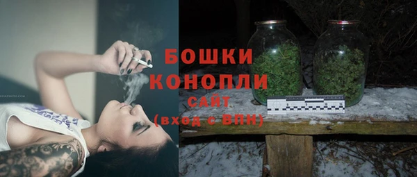 прущие грибы Богородицк