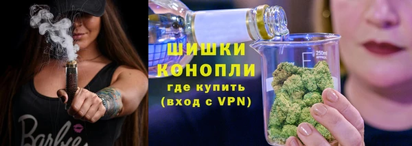 mdpv Богданович