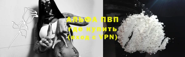 прущие грибы Богородицк