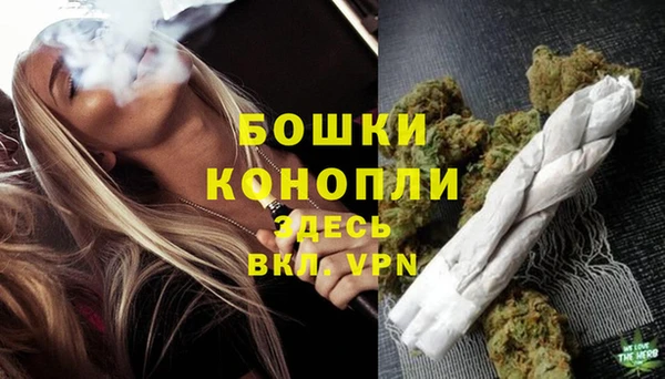 прущие грибы Богородицк