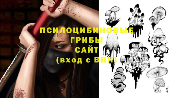 прущие грибы Богородицк