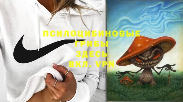 mdpv Богданович